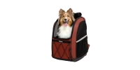 Plecak Champion Large Dog Jet Maroon